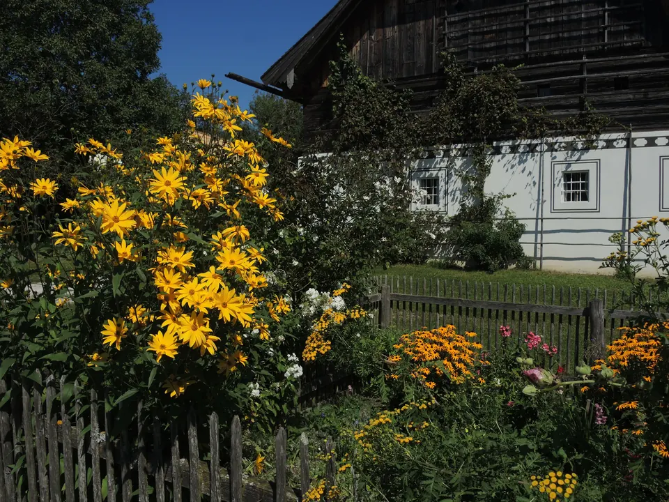 Bauerngartl im Spätsommer