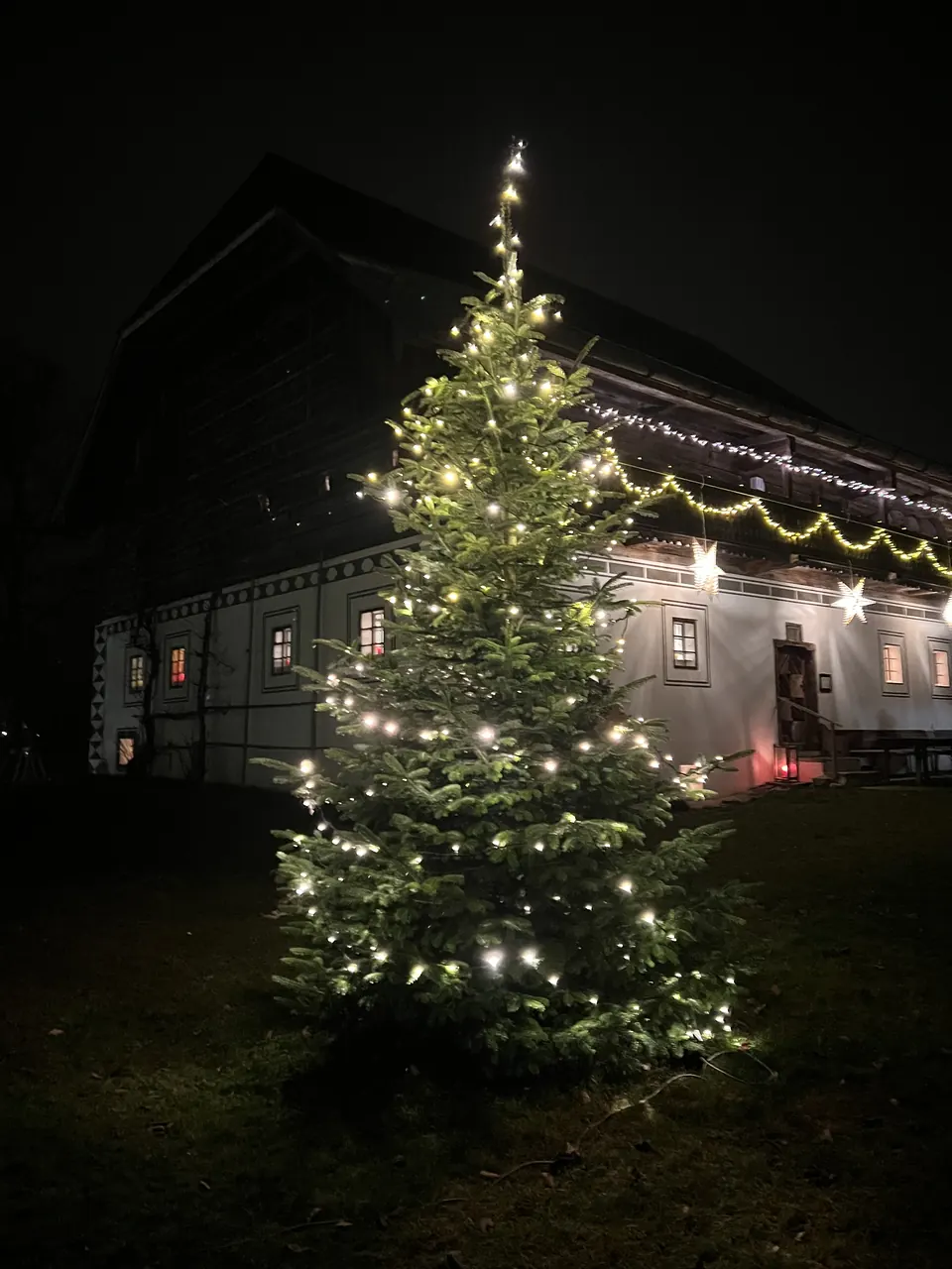 Lit Christmas tree