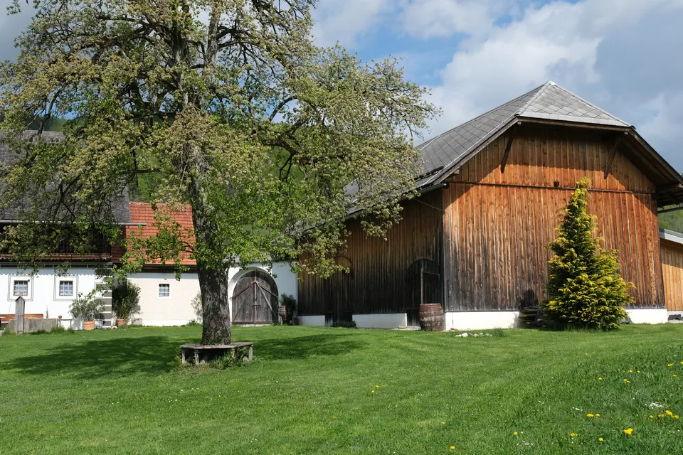 The Eggerstadl