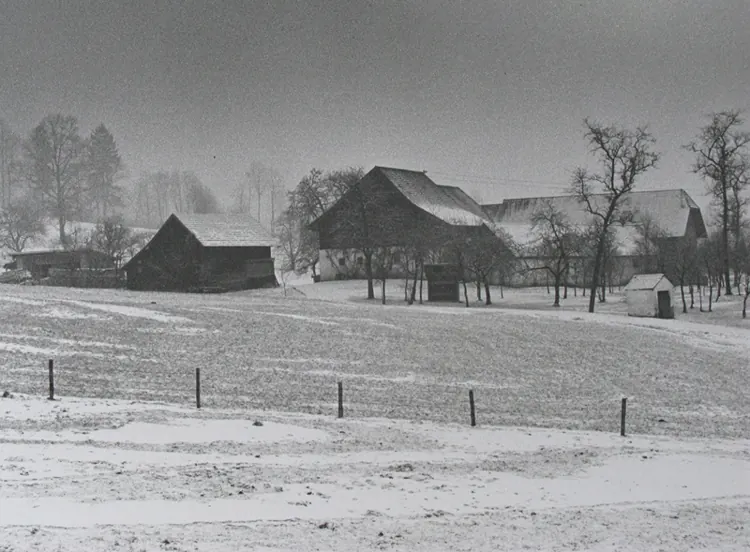 Das Eggerhaus 1978 (Foto: Christian Puttevils)