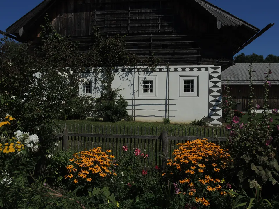 Sonnenhut im Bauerngartl